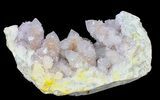Cactus Quartz (Amethyst) Cluster - South Africa #38998-1